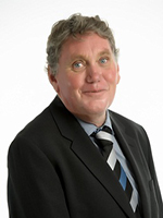 Brian Reynolds - Real Estate Agent