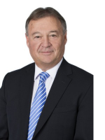 Dennis Riva - Real Estate Agent