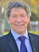 Alan Rossignoli - Real Estate Agent