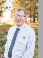 Ross Woodham - Real Estate Agent