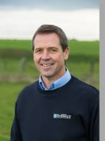 Brendan Kelly - Real Estate Agent