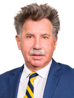 Nickolas Dilles - Real Estate Agent