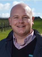 Brad Todd - Real Estate Agent