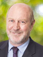 Larry Nelson - Real Estate Agent