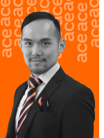 Damon Ng - Real Estate Agent