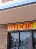 Kym Briscoe - Real Estate Agent
