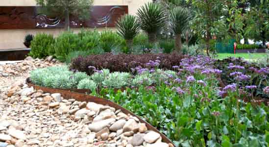 landscaped garden