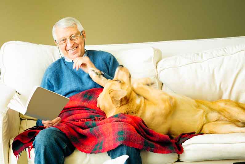 Senior man portrait laughing as dog asks for stroking
