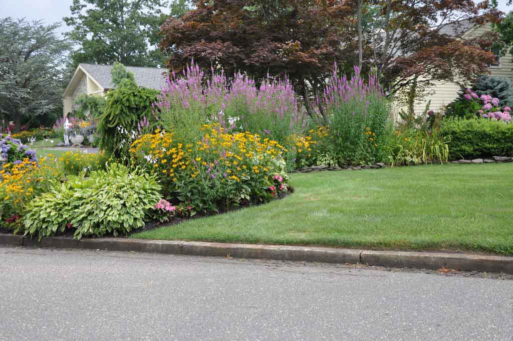 Flower Garden Suburban Neighborhood