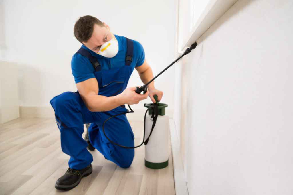 pest controller spraying a home