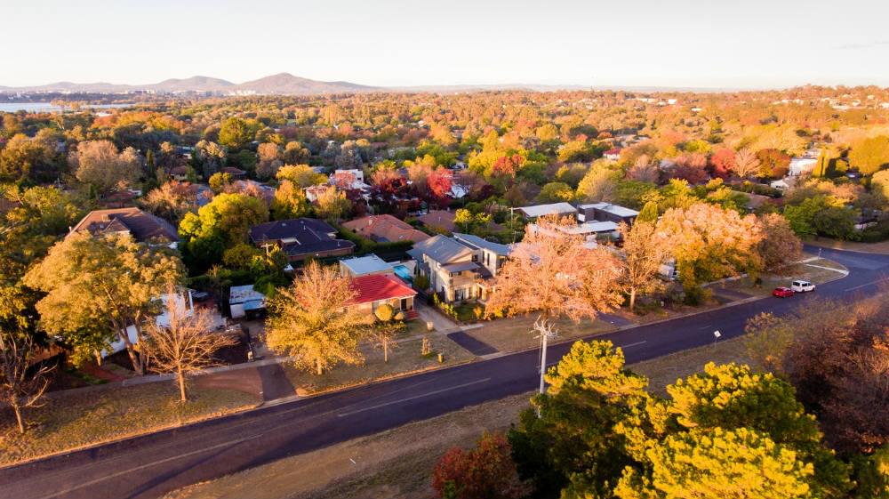 canberra act trees street