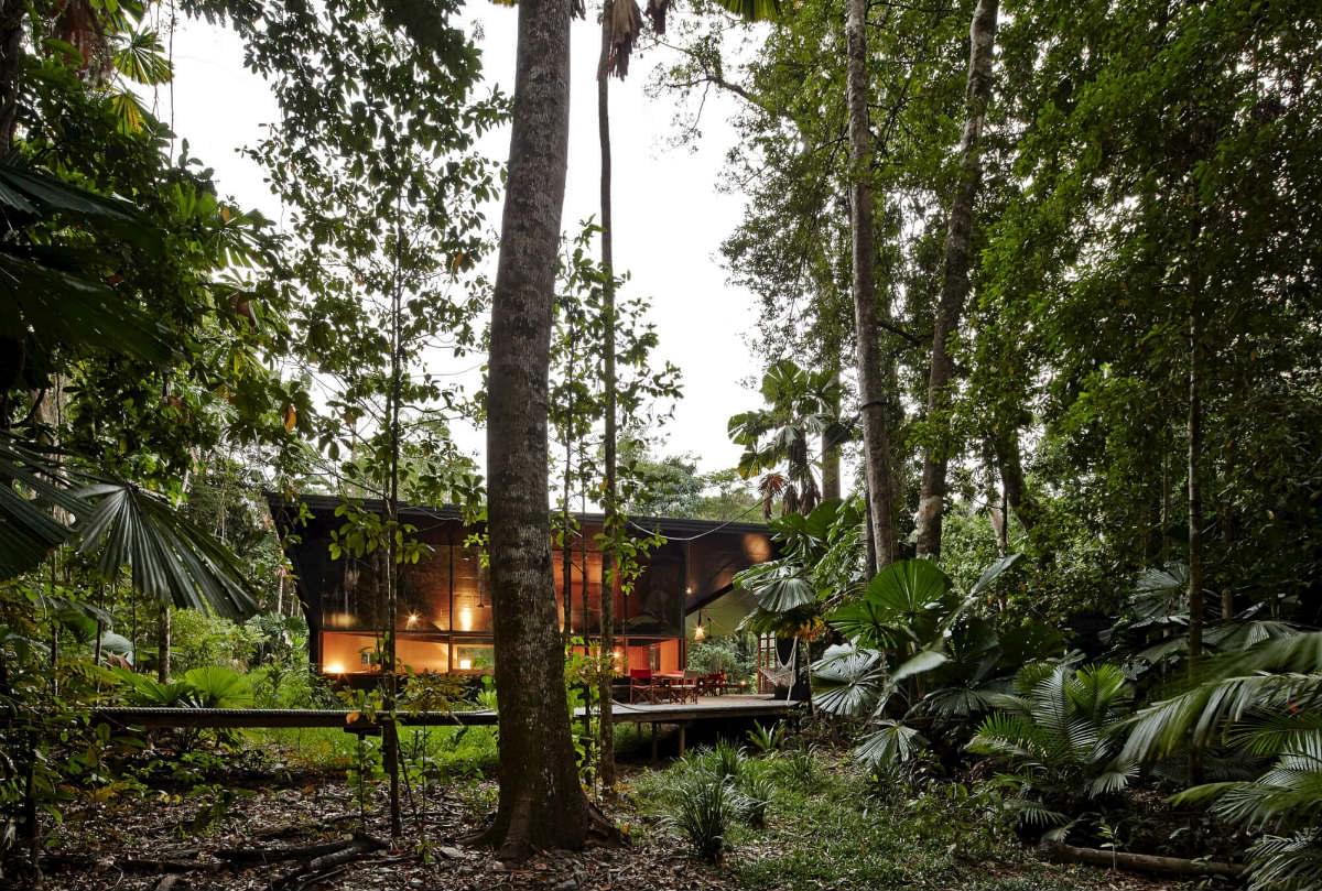 daintree rainforest house