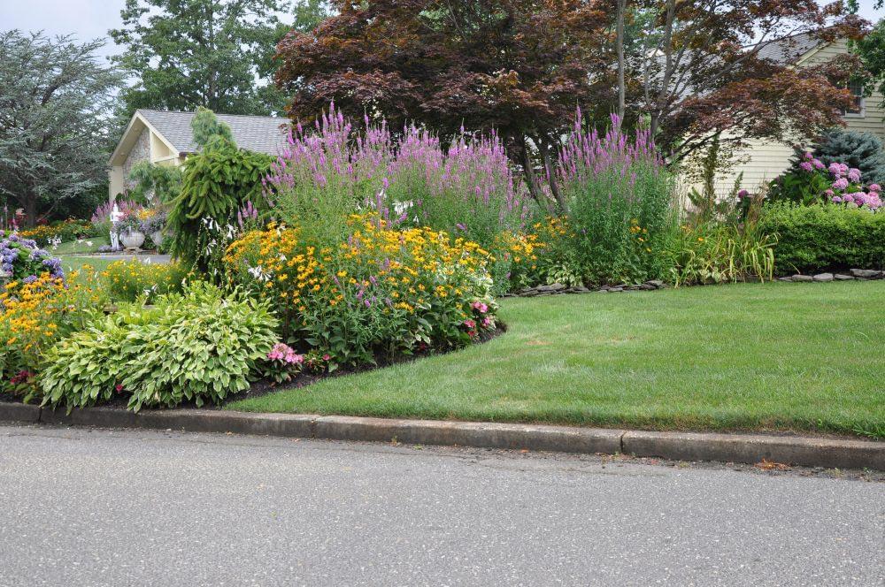 2020 How much does landscaping and gardening cost? - OpenAgent