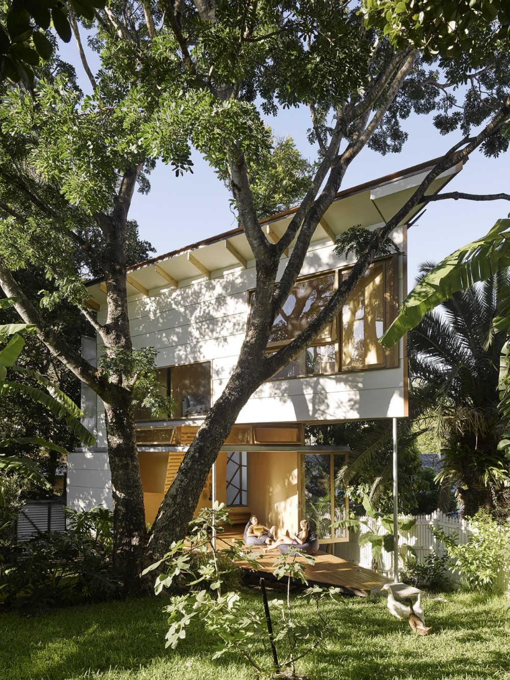 Taringa Treehouse